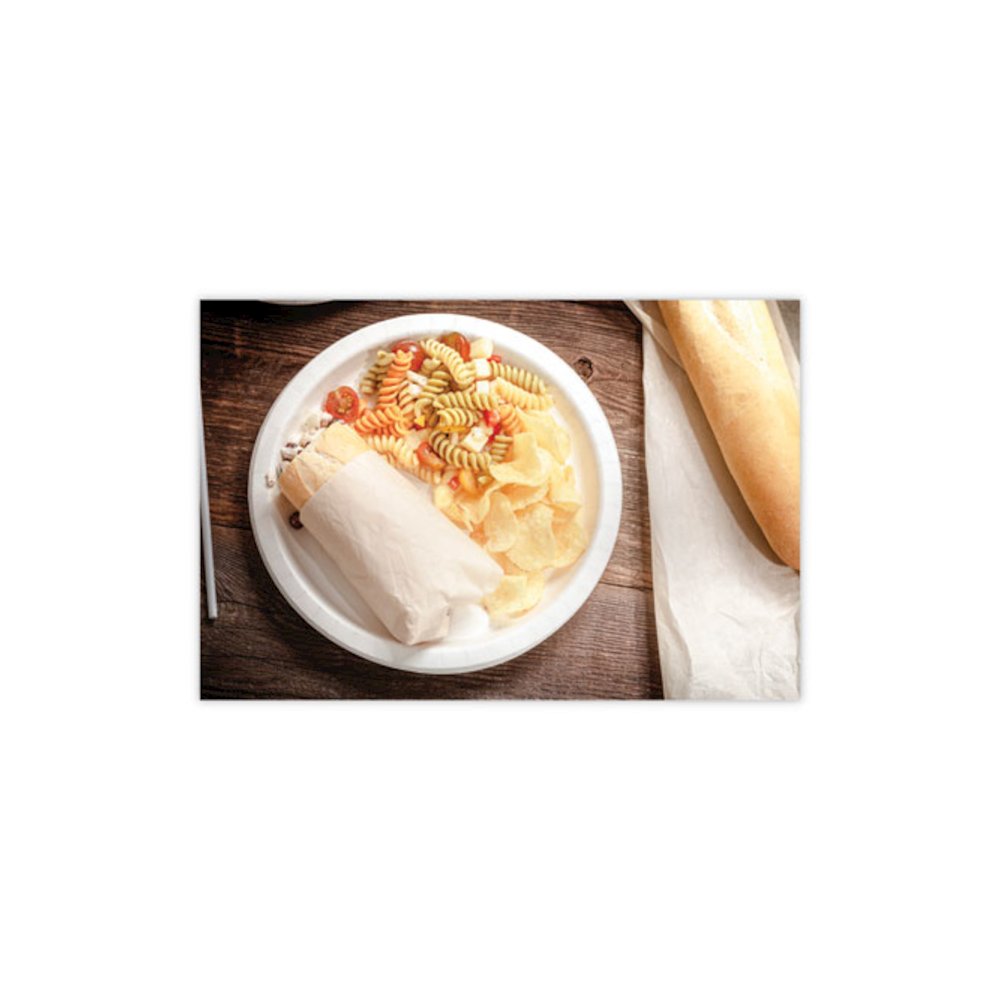 EarthChoice Pressware Compostable Dinnerware, Plate, Paper, 10" dia, White, 300/Carton. Picture 3