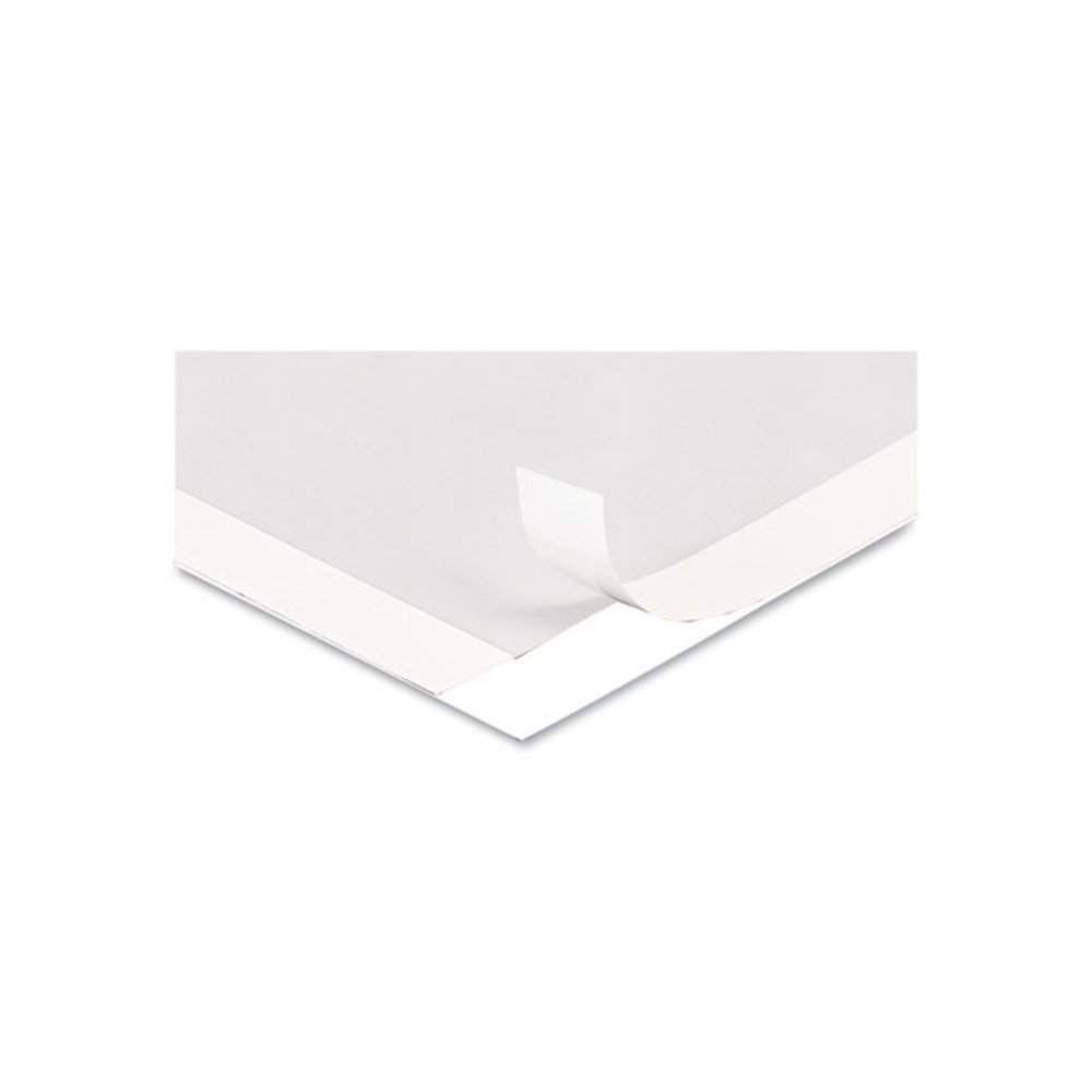 Self Adhesive Sign Holders, 11 x 17, Clear with White Border, 2/Pack. Picture 2