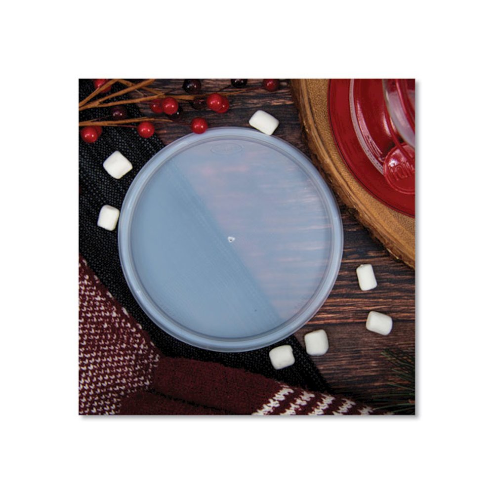 Plastic Lids for Foam Containers, Flat, Vented, Fits 24 oz to 32 oz, Translucent, 100/Pack, 5 Packs/Carton. Picture 4