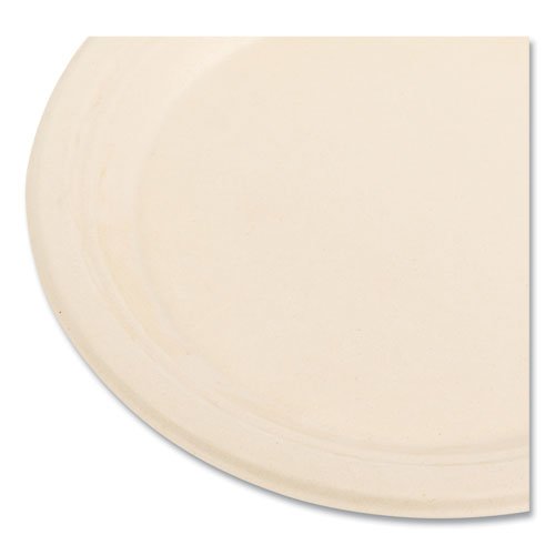 Bagasse PFAS-Free Dinnerware, Plate, Sugarcane, 9" dia, Tan, 500/Carton. Picture 4