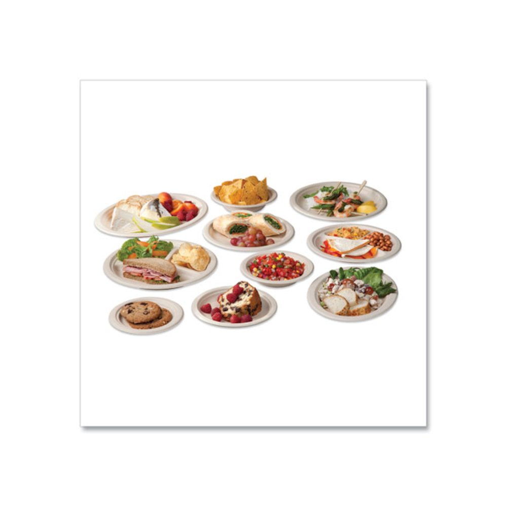 Nourish Molded Fiber Tableware, Compostable, Plate, Sugarcane, 6" dia, White, 1,000/Carton. Picture 3