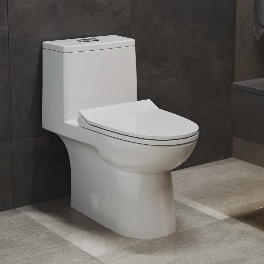 Daxton One-Piece Elongated Dual-Flush Toilet 1.1/1.6 gpf. Picture 2
