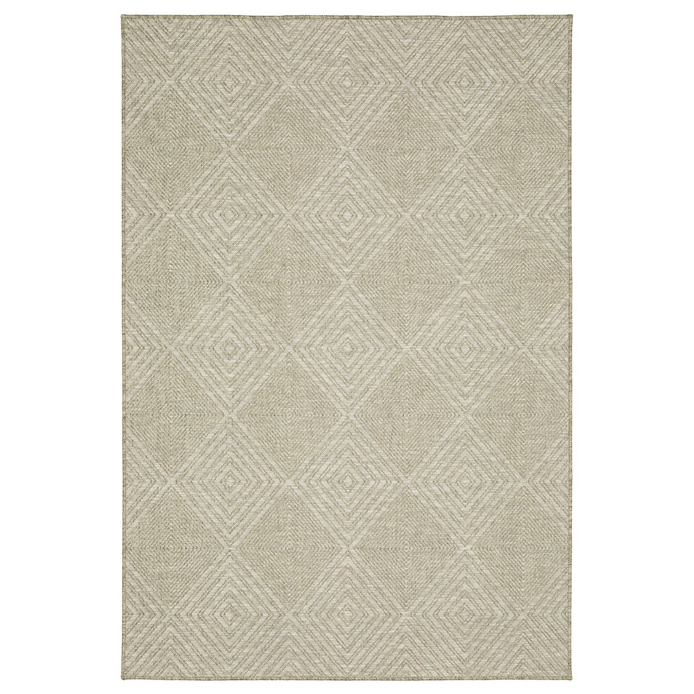 TORTUGA Beige 5' 3 X  7' 3 Area Rug. Picture 1