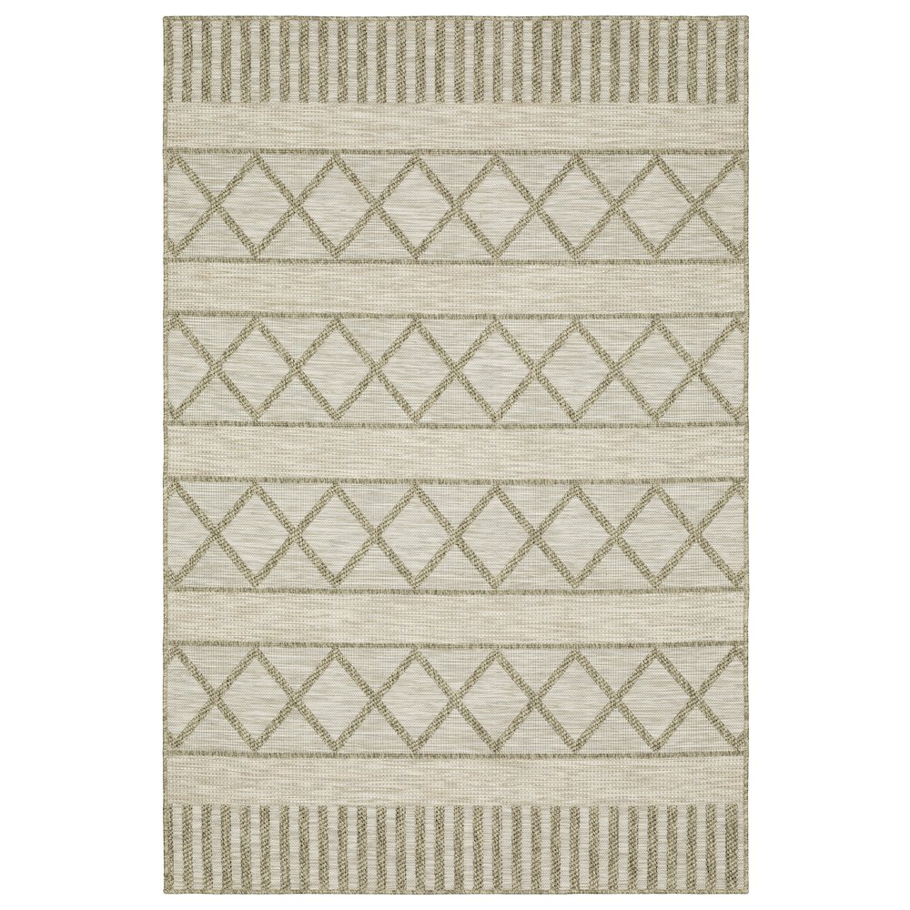 TORTUGA Beige 5' 3 X  7' 3 Area Rug. Picture 1