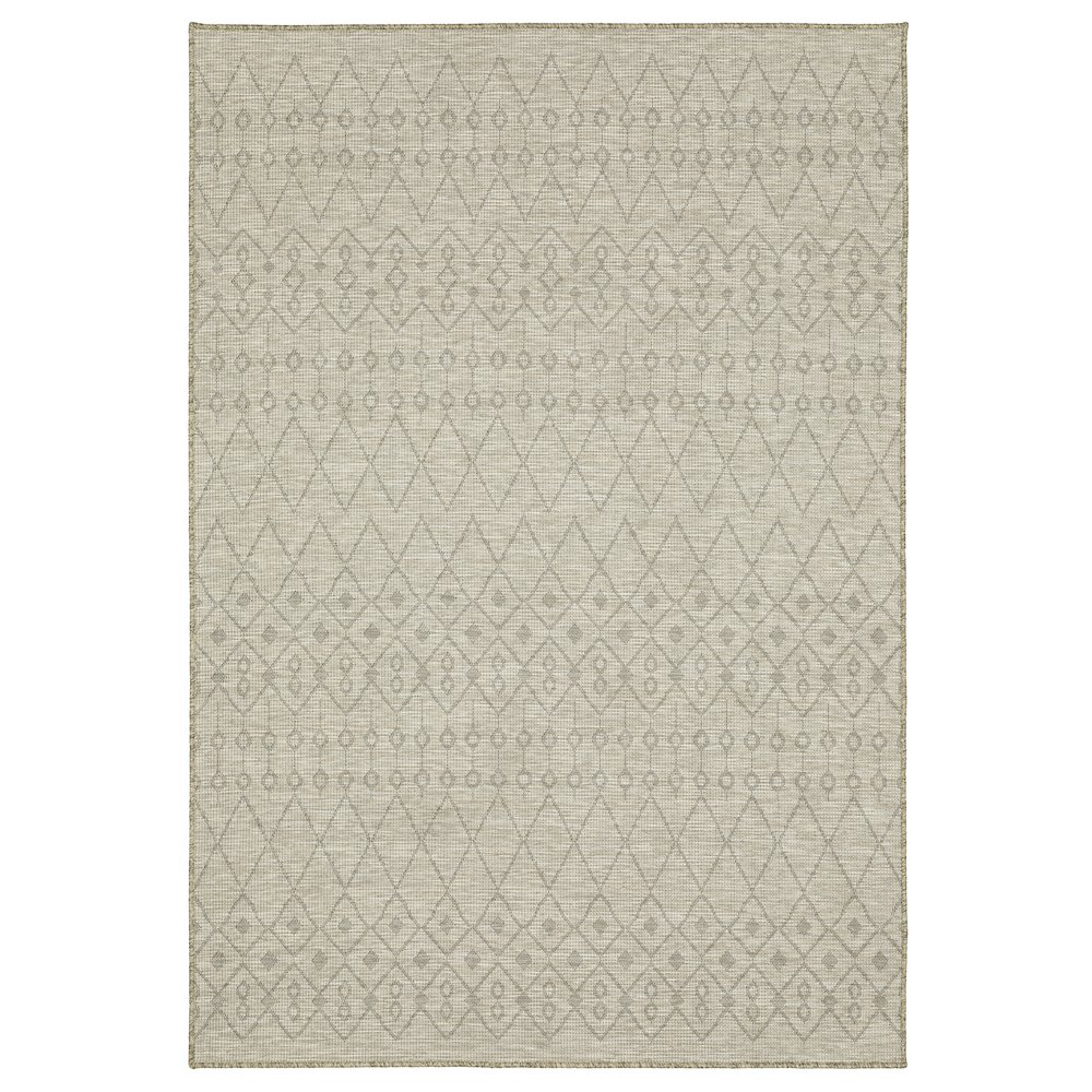 TORTUGA Beige 7'10 X 10' Area Rug. Picture 1
