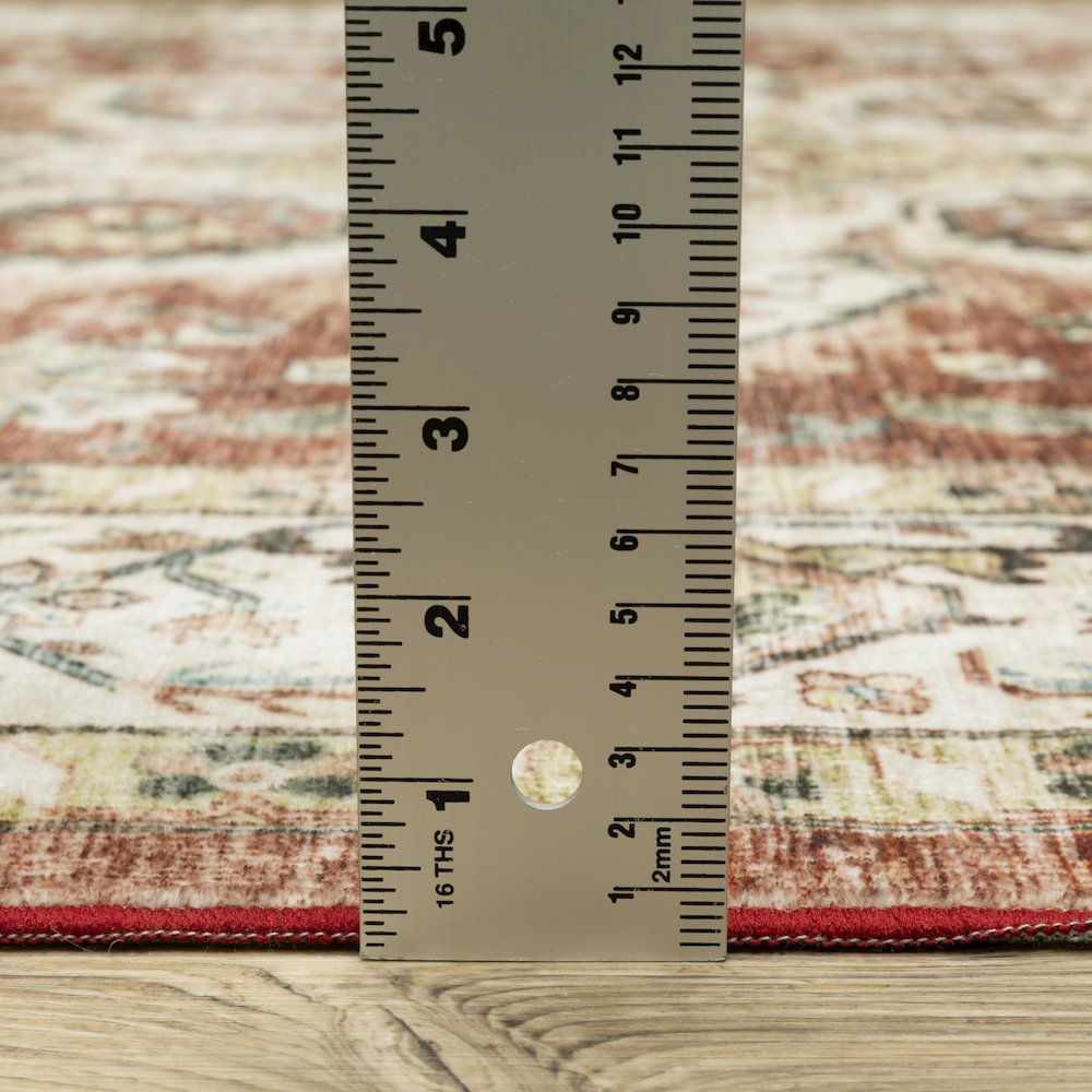 SUMTER Red 2' X  8' Area Rug. Picture 9
