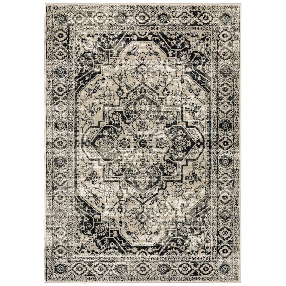 GEORGIA Grey 3'10 X  5' 5 Area Rug. Picture 1
