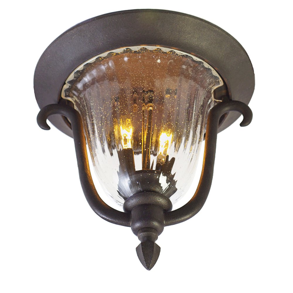 Santa Barbara Outdoor 2 Light Flush Mount. Picture 1