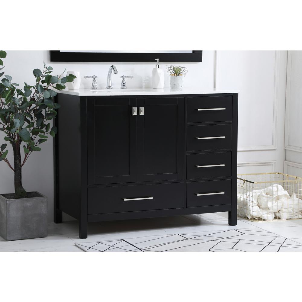 42 inch Single Bathroom Vanity in Black. Picture 2