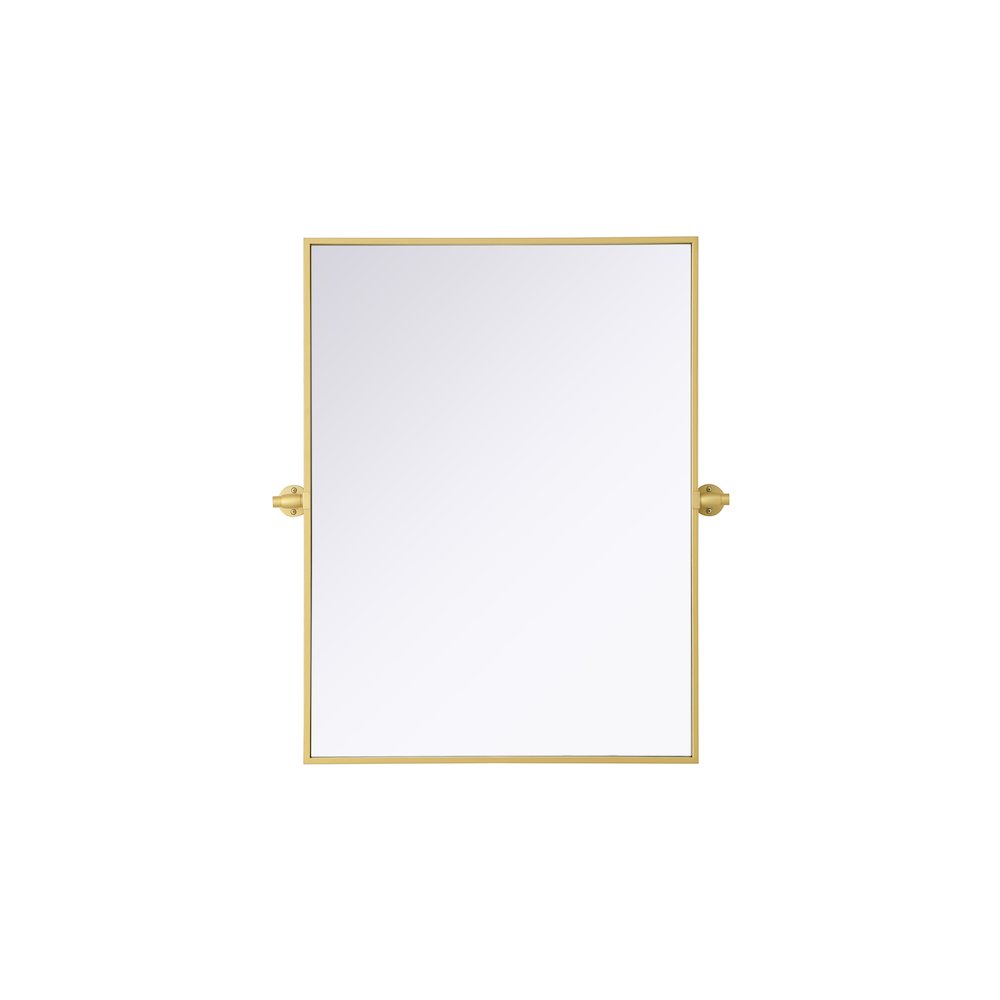 Amoura 24X32 Pivot Mirror In Brass. Picture 1
