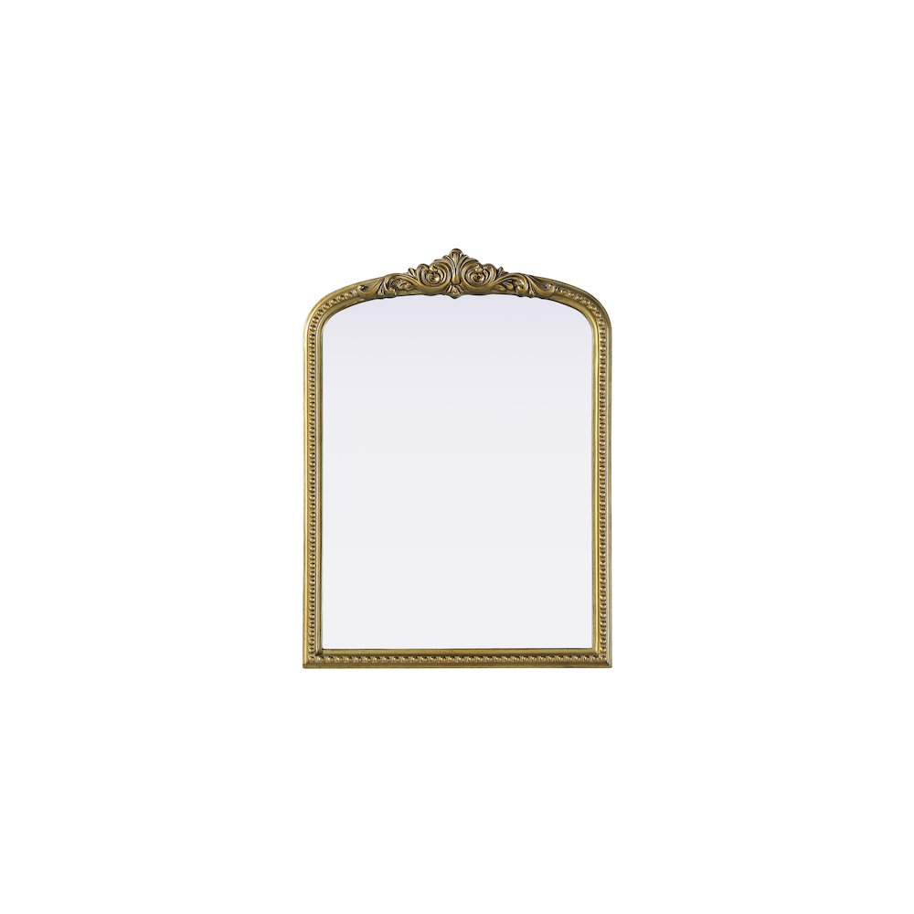 Naomi Vintage Resin Mirror 22x30 in Antique Brass. Picture 1