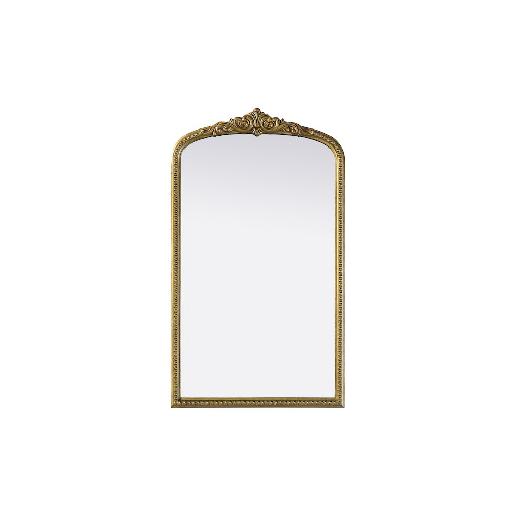 Naomi Vintage Resin Mirror 24x42 in Antique Brass. Picture 1