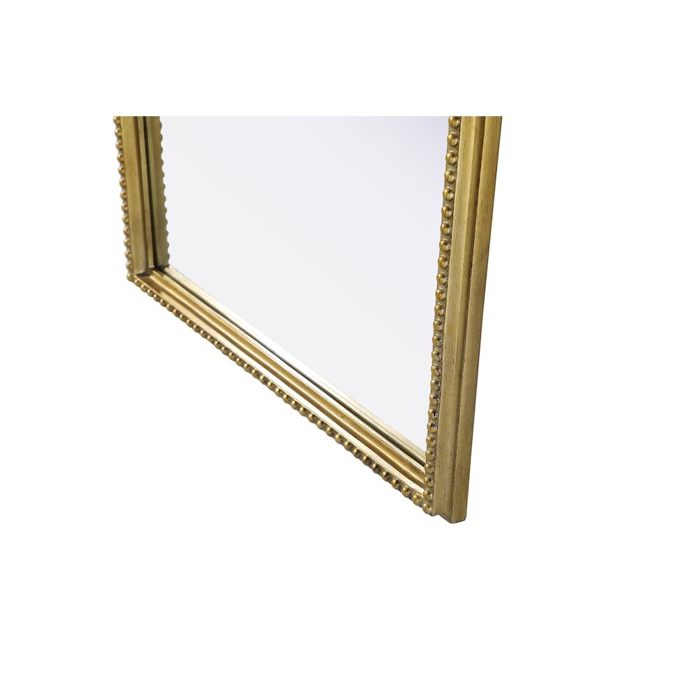 Naomi Vintage Resin Mirror 24x60 in Antique Brass. Picture 6