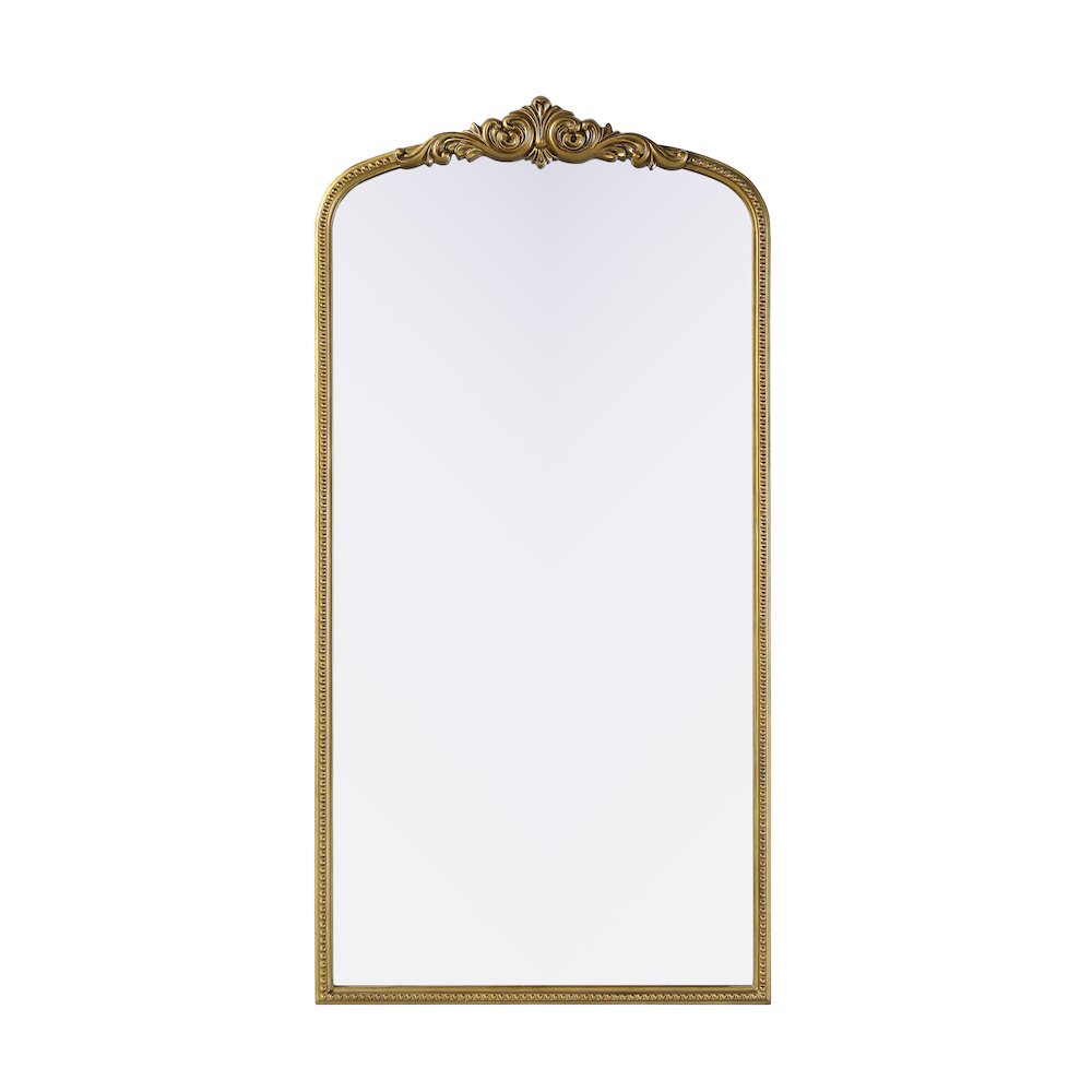 Naomi Vintage Resin Mirror 36x72 in Antique Brass. Picture 1