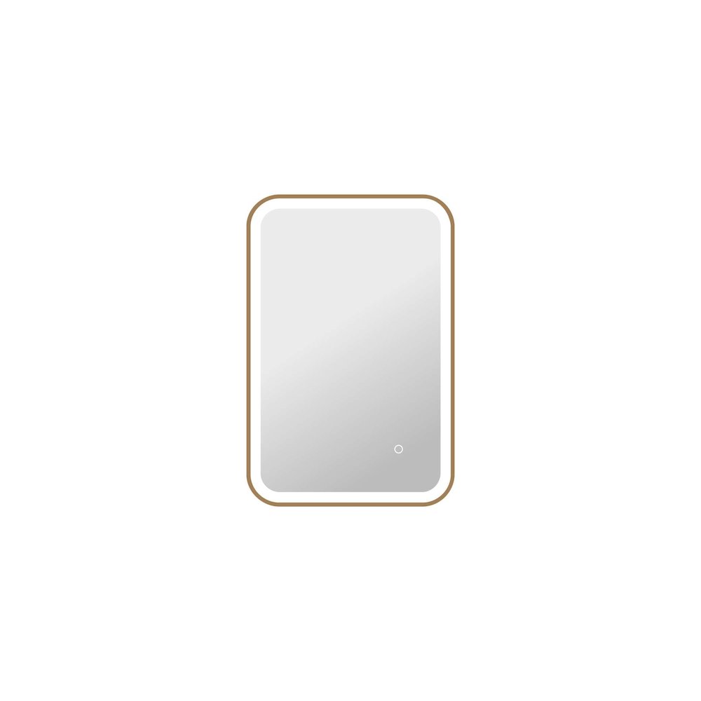 30 Inch Rectangle LED Front and Backlit Wall Mirror in Satin Gold. Picture 1