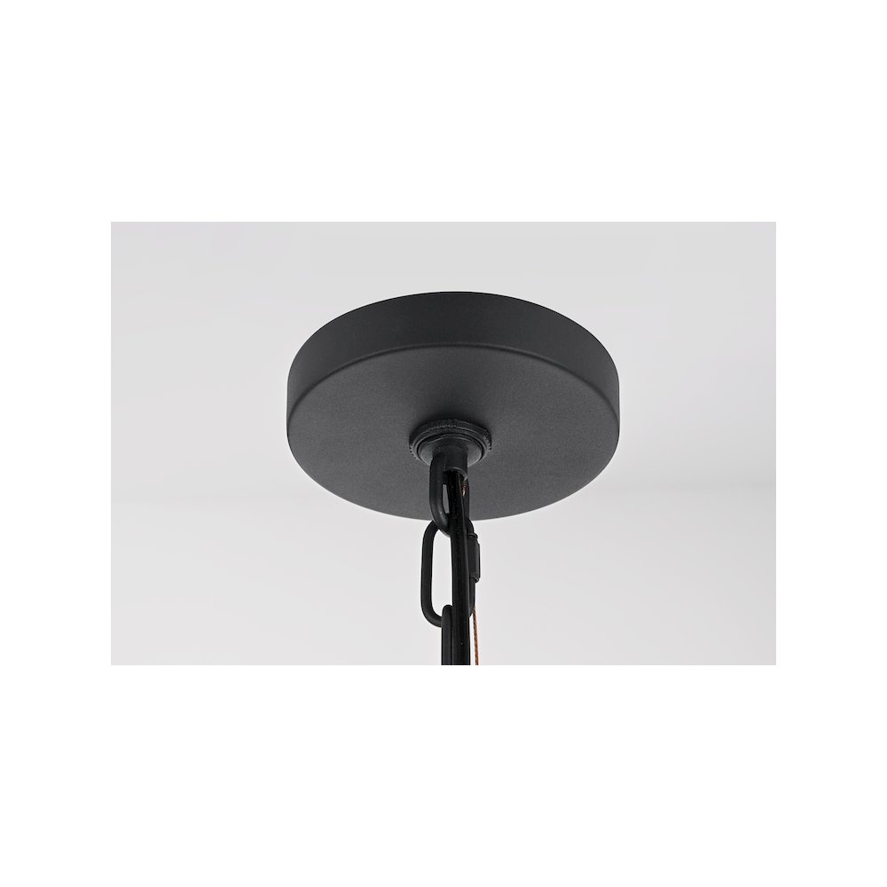 Shepard 8 x 20.5 inch Outdoor Pendant in Black. Picture 7