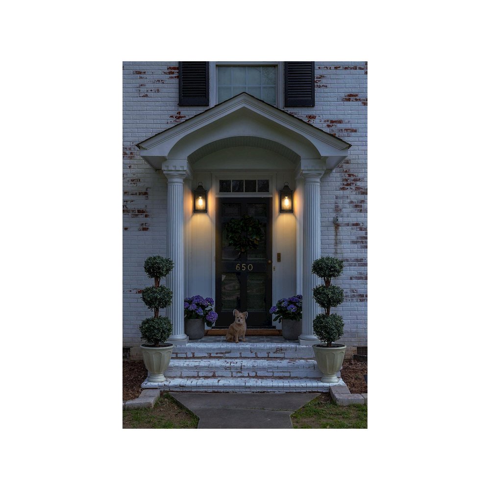 Shepard 6 inch Outdoor Wall Sconce in Black. Picture 2