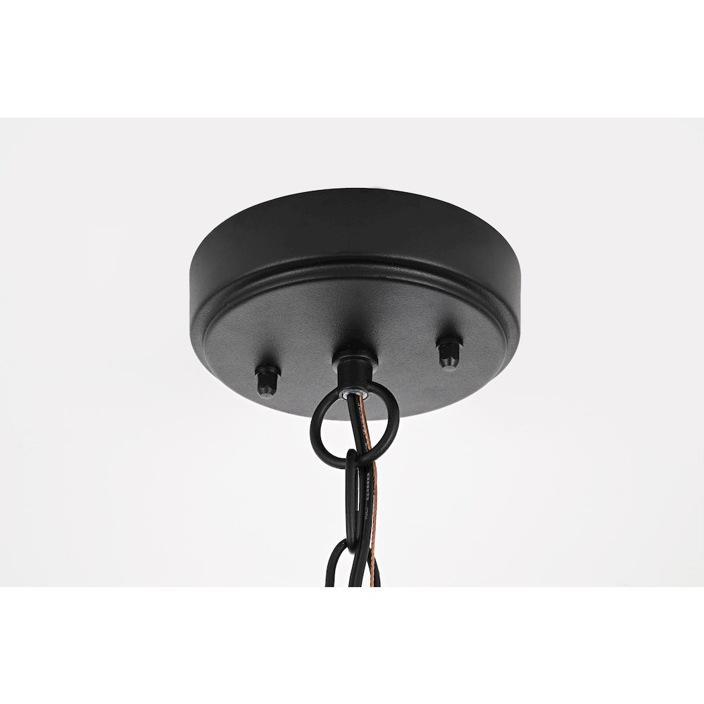 Amaris 23 inch LED Outdoor Pendant in Black. Picture 7