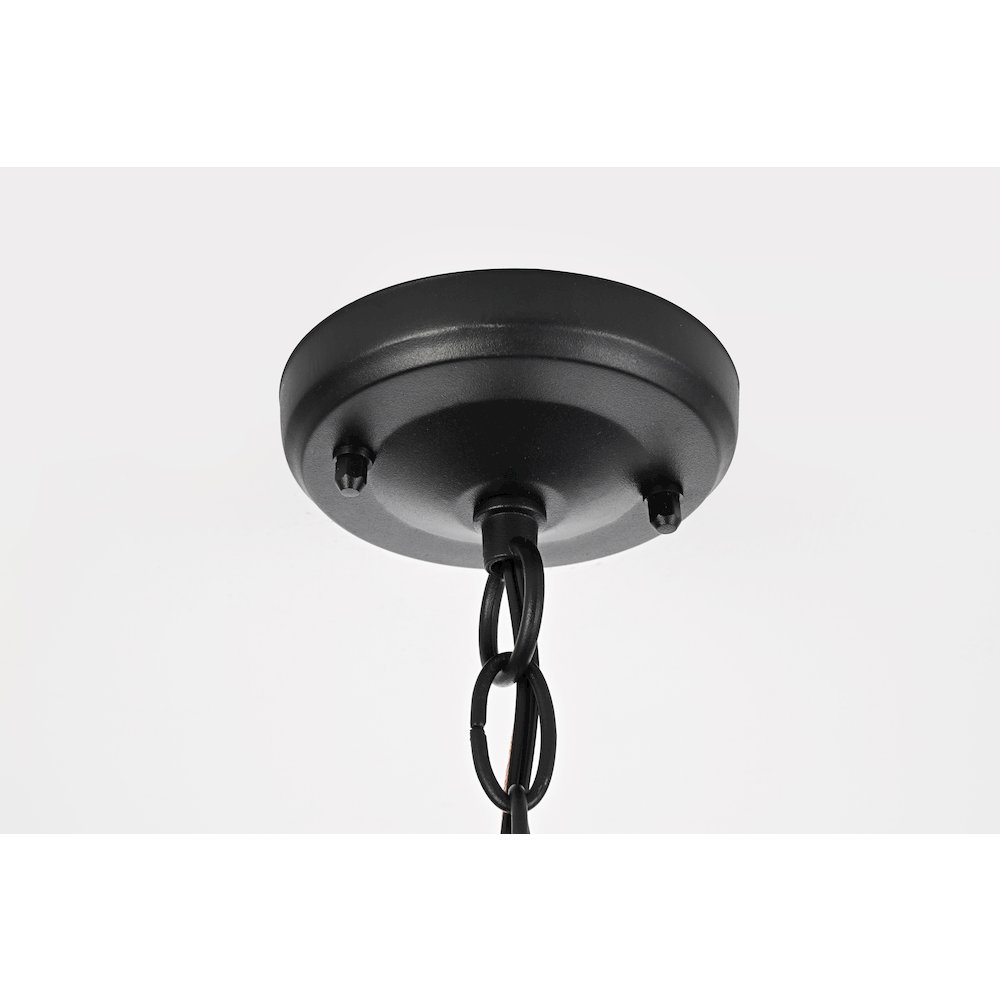 Jada 14 inch Outdoor Pendant in Black. Picture 7