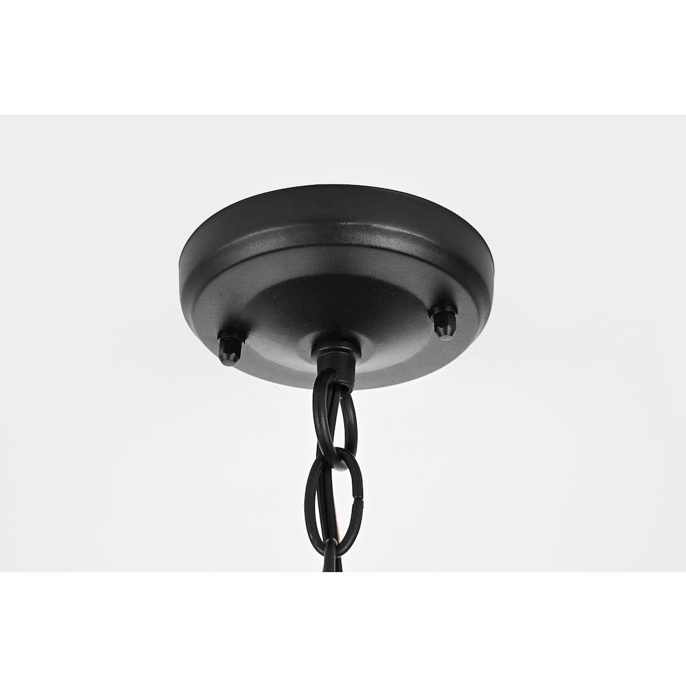 Harley 12 inch Outdoor Pendant in Black. Picture 7