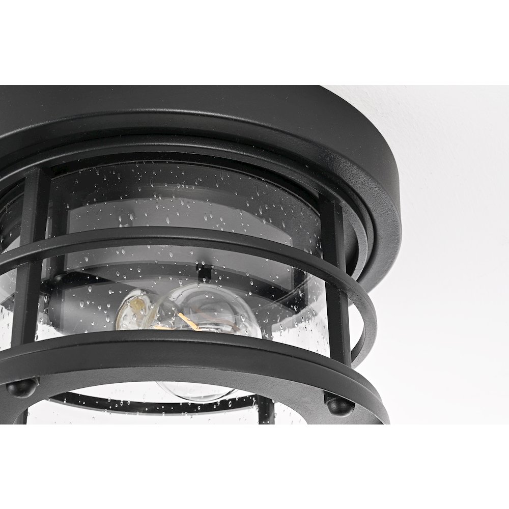 Carla 10 inch Outdoor Flush Mount in Black. Picture 6