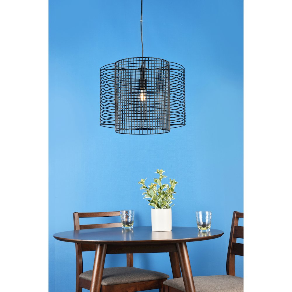 Deleon 1 Light Black Pendant. Picture 2