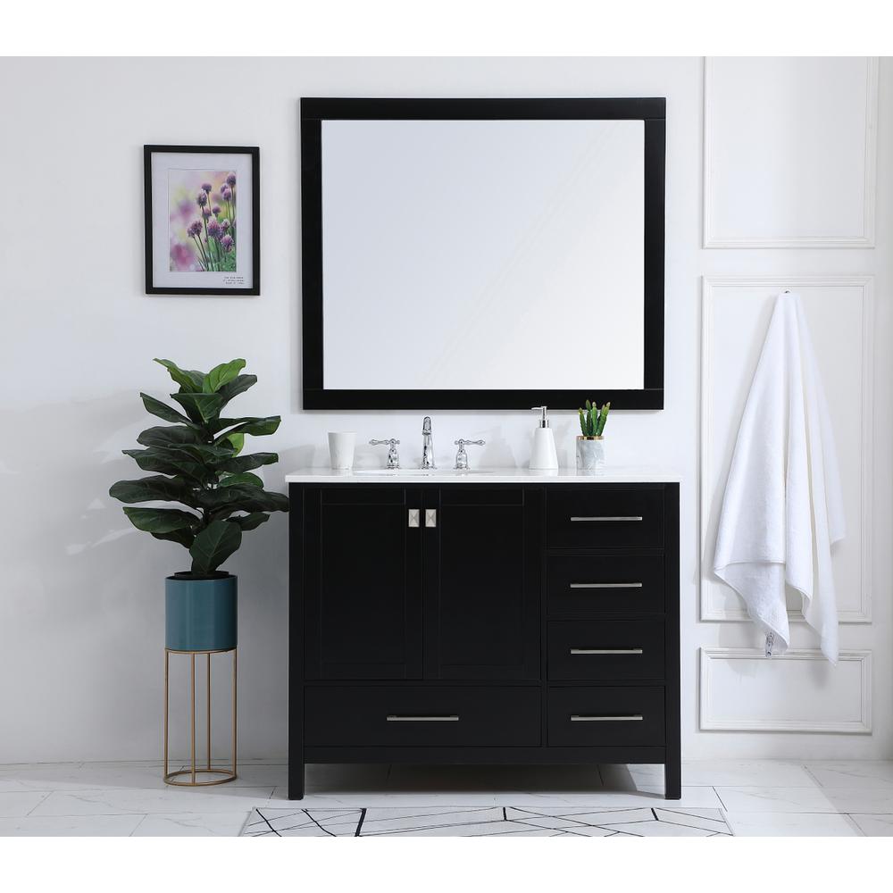 42 inch Single Bathroom Vanity in Black. Picture 4