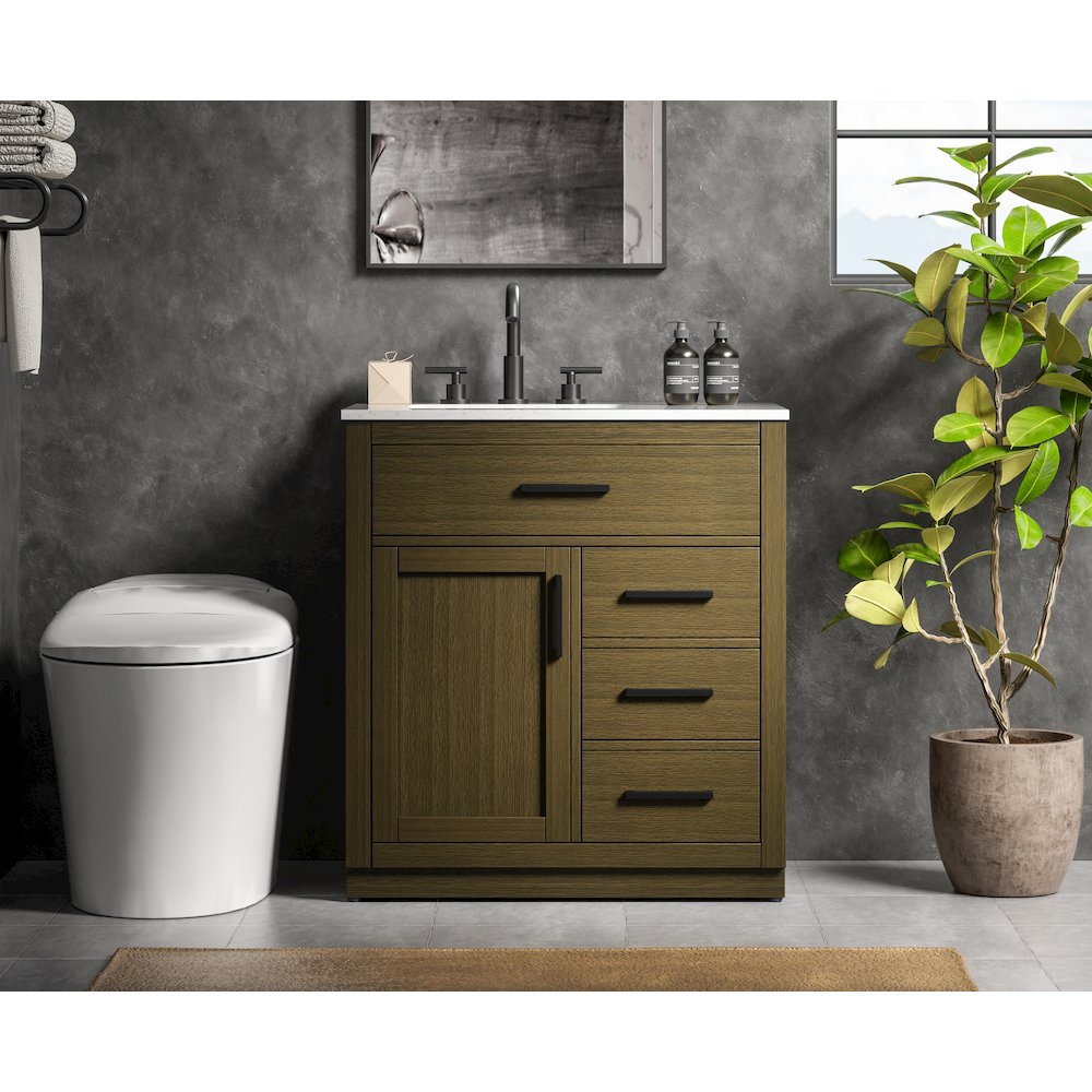 Alden 32 Inch Single Bathroom Vanity In Chestnut Brown. Picture 2