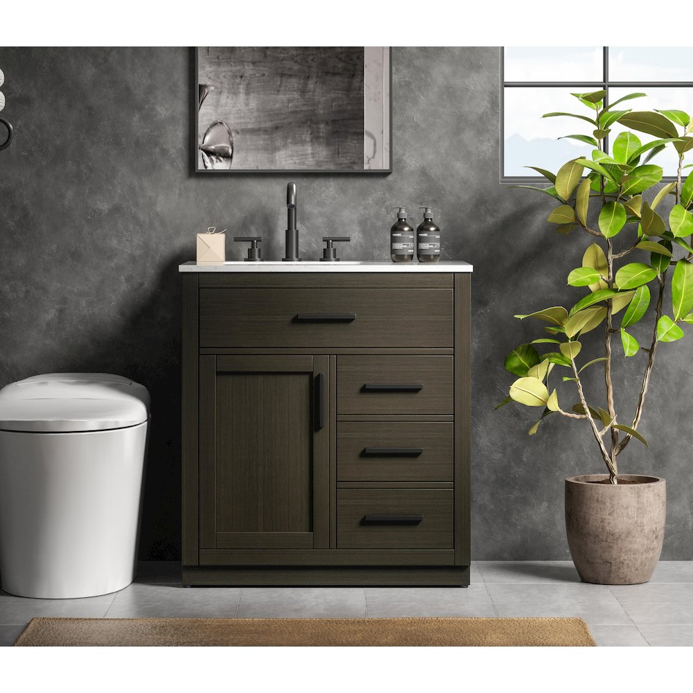 Alden 32 Inch Single Bathroom Vanity In Mocha Brown. Picture 2