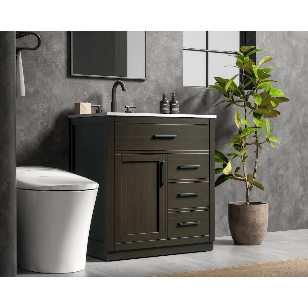 Alden 32 Inch Single Bathroom Vanity In Mocha Brown. Picture 3