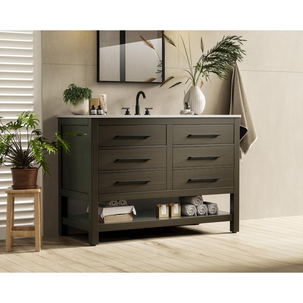 48 inch Single Bathroom Vanity in Mocha Brown. Picture 3