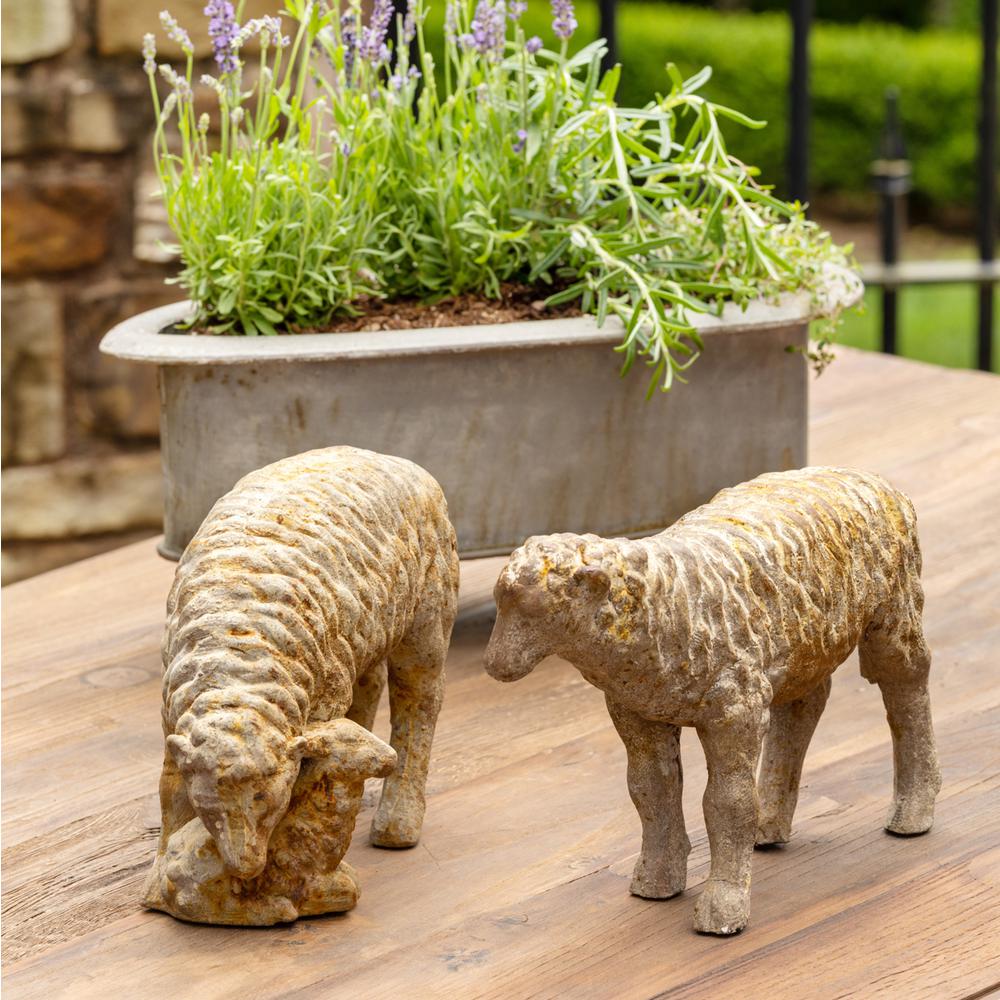 Country Sheep Family. Picture 6