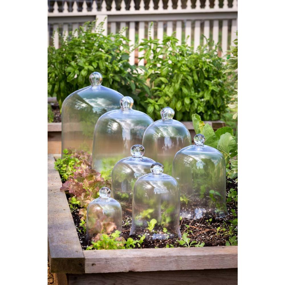 Extra Lg Bell Jar 16'' X 12''. Picture 6