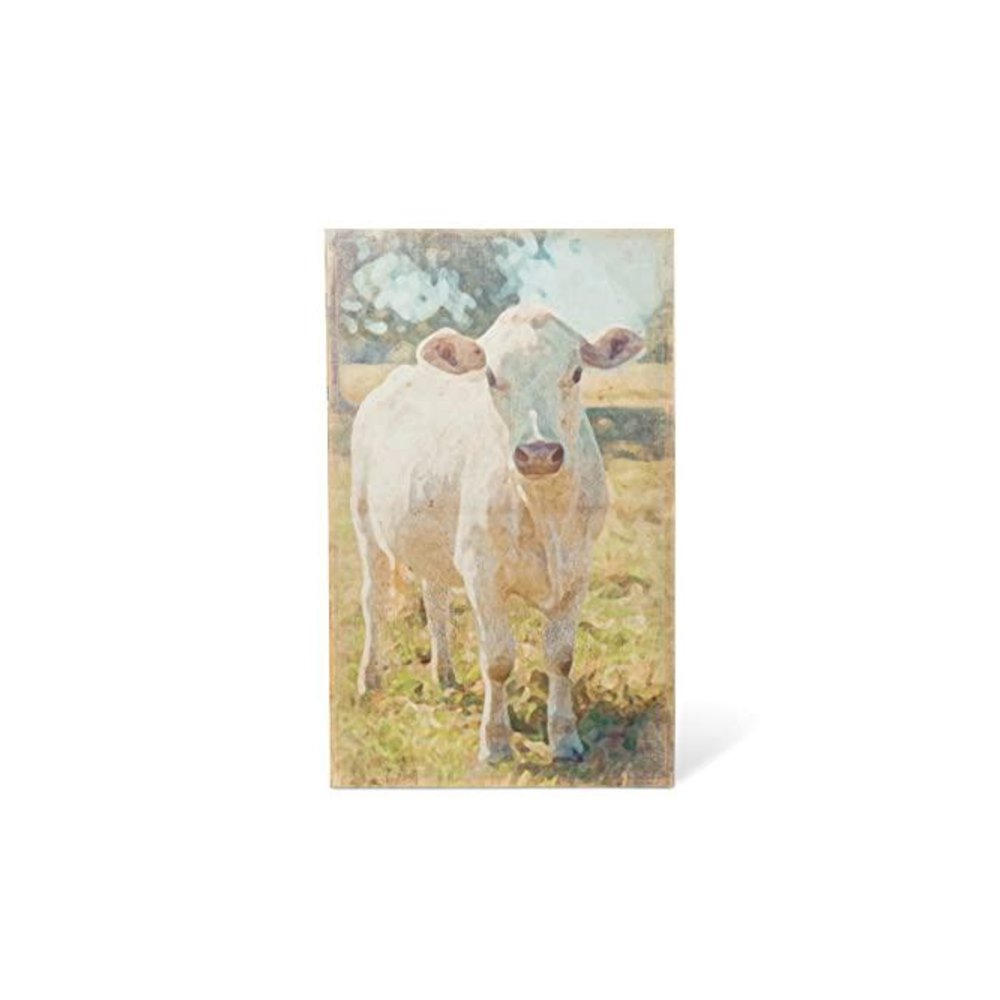 Charolais Cow Canvas Print. Picture 1