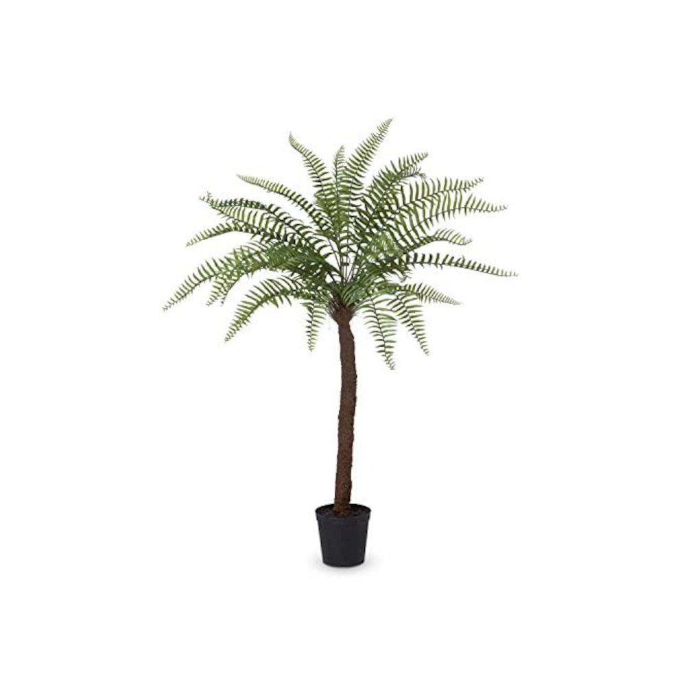 Giant Tree Fern in Growers Pot, 83 in.. Picture 1