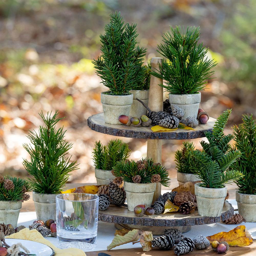 Woodland Tiered Server. Picture 5