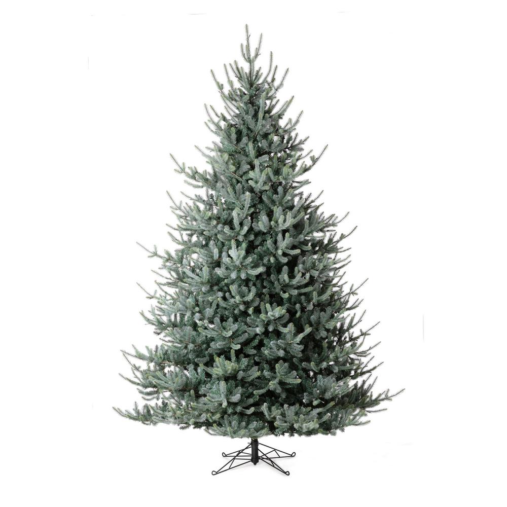 Blue Spruce Christmas Tree, 12'. Picture 1