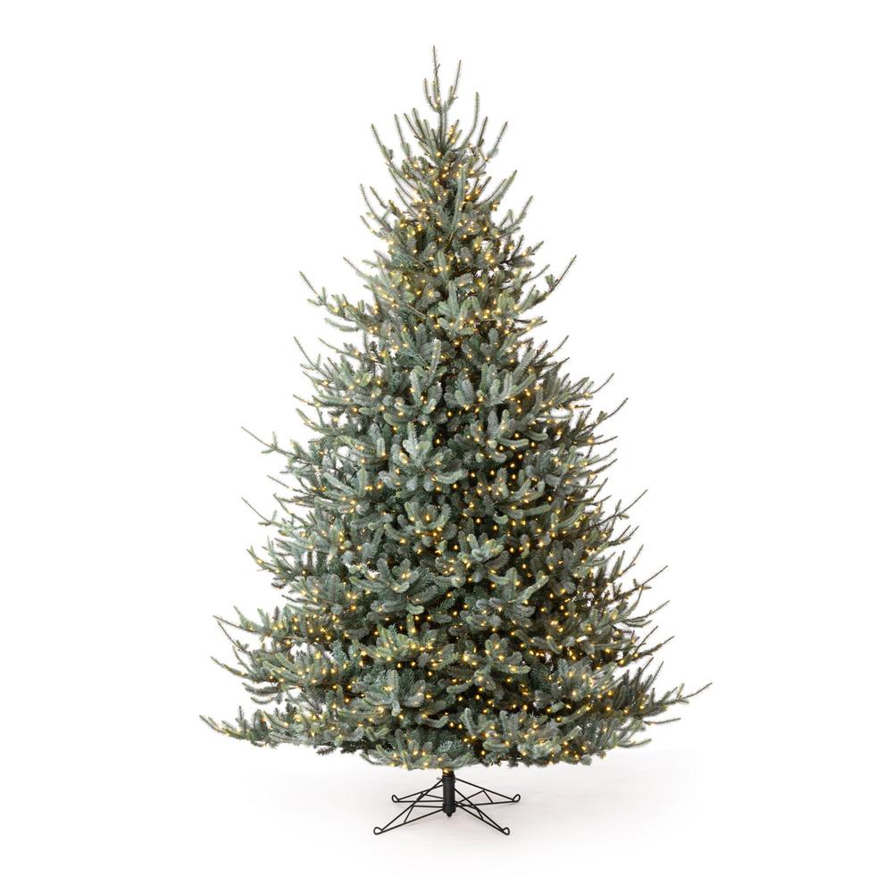 Blue Spruce Christmas Tree, 12'. Picture 2