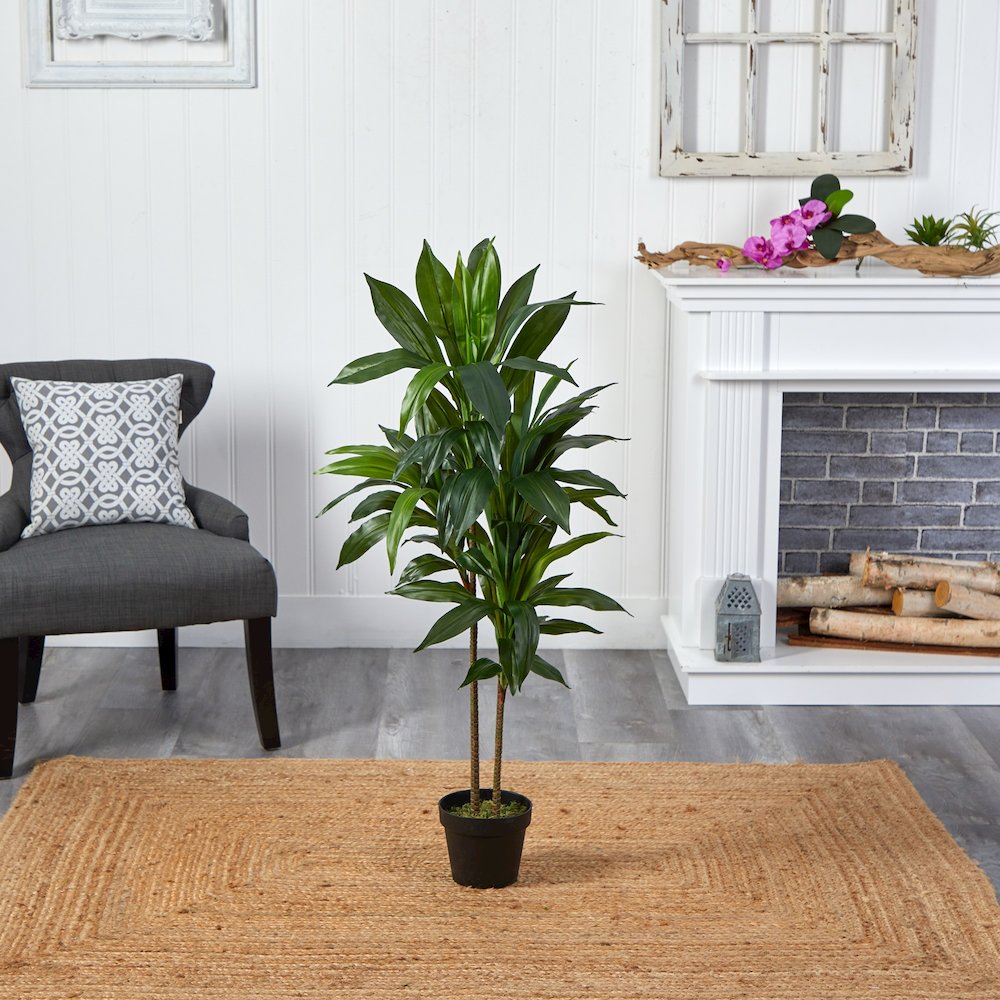 43in. Dracaena Silk Plant (Real Touch). Picture 8