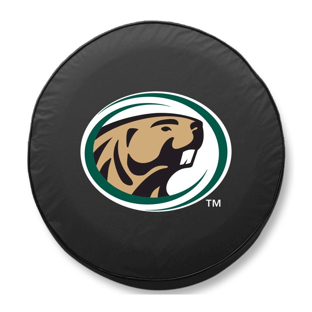 28 1/2 x 8 Bemidji State Tire Cover. Picture 1