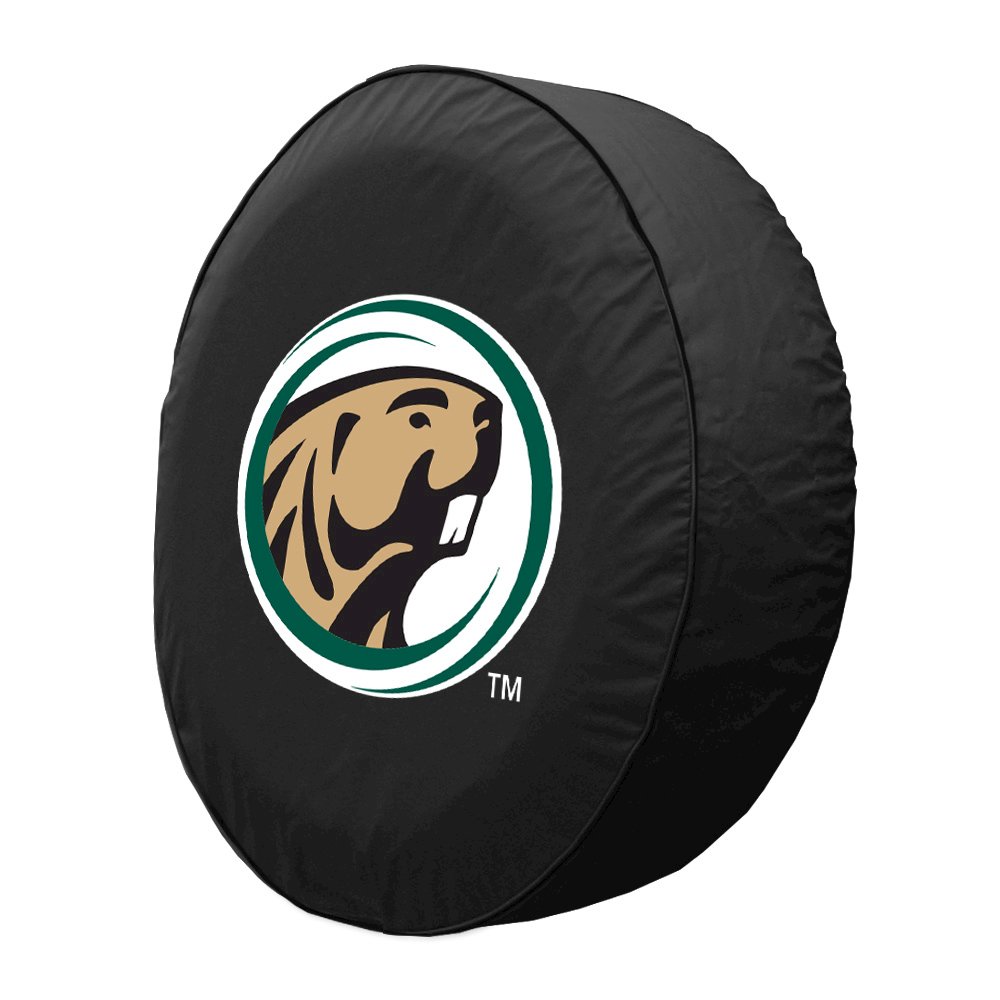 28 1/2 x 8 Bemidji State Tire Cover. Picture 2