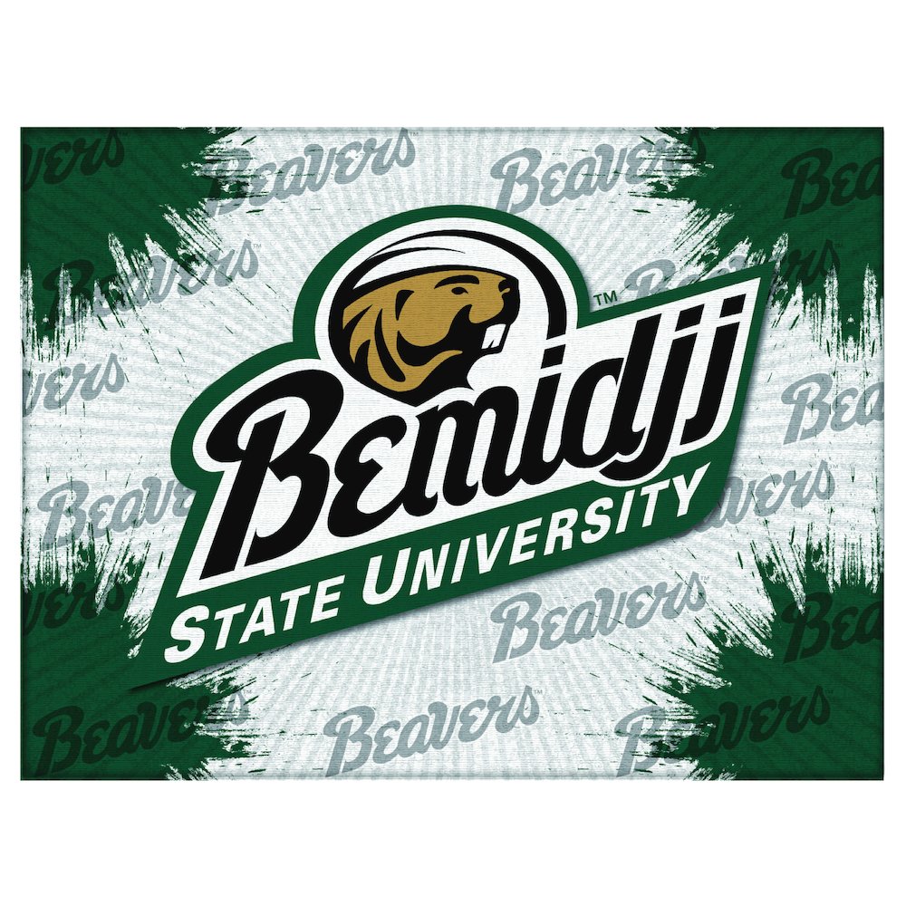 Bmidji State 24" x 32" Officially Licensed Logo Canvas. Picture 1