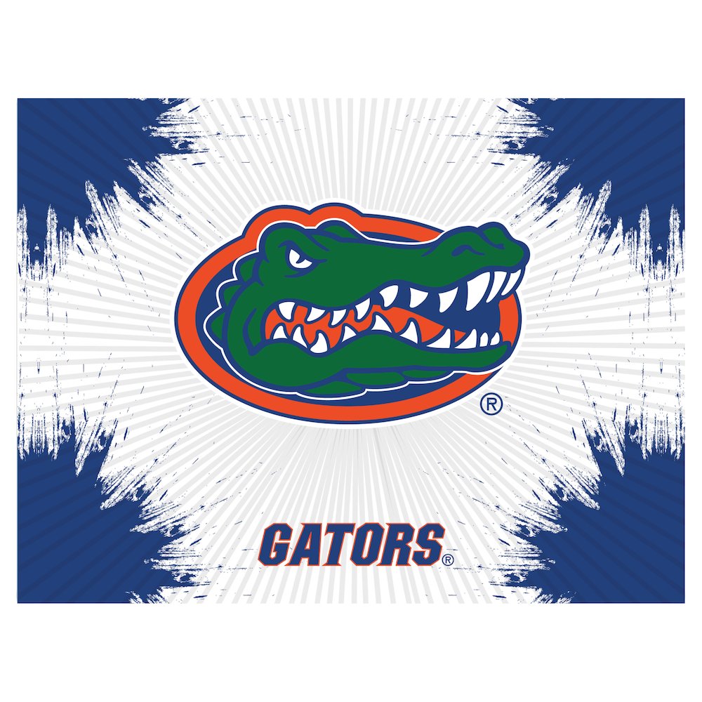 Florida 24" x 32" Officially Licensed Logo Canvas. Picture 1