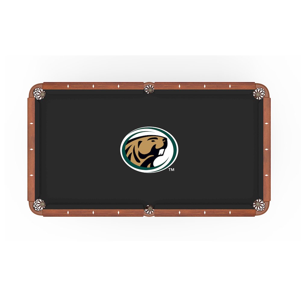 Bemidji State University 8' Pool Table with a Navajo Finish. Picture 2