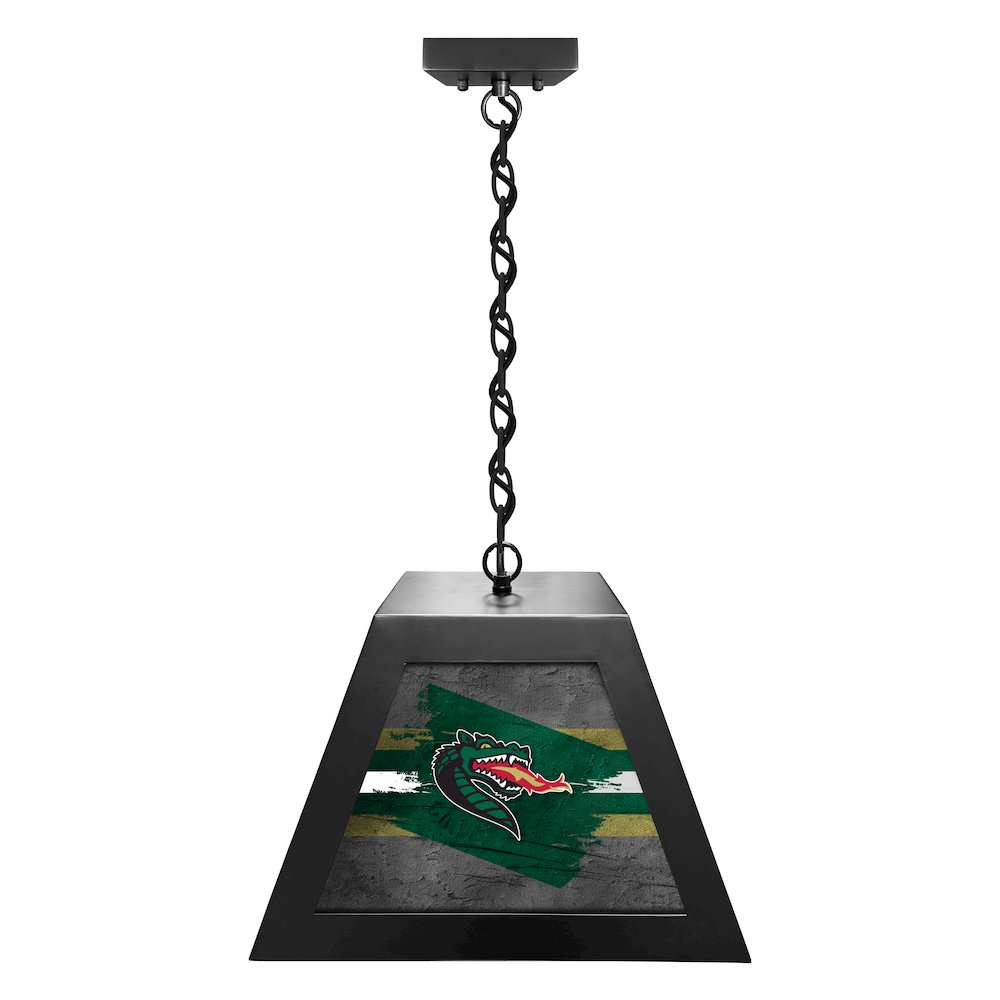 University of Alabama at Birmingham Pendant Box Light. Picture 1