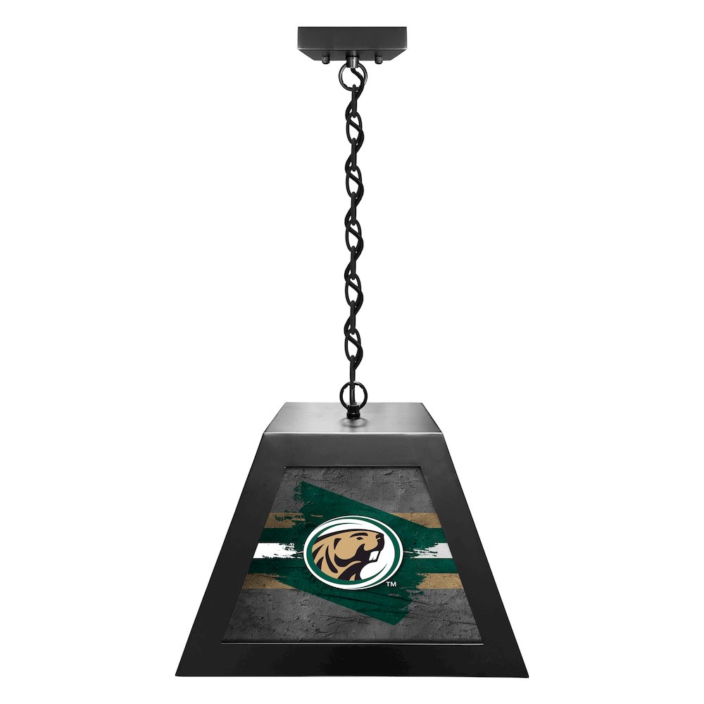 Bemidji State University Pendant Box Light. Picture 1