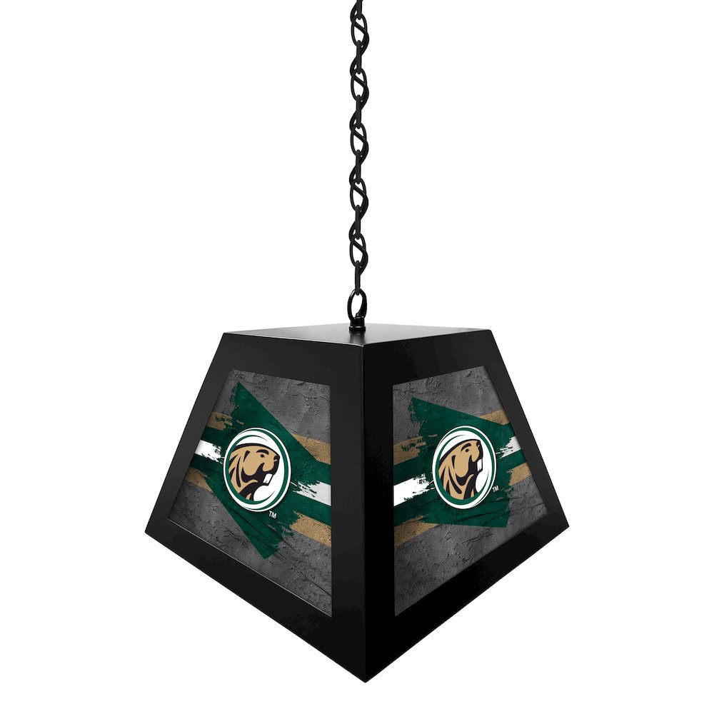 Bemidji State University Pendant Box Light. Picture 2