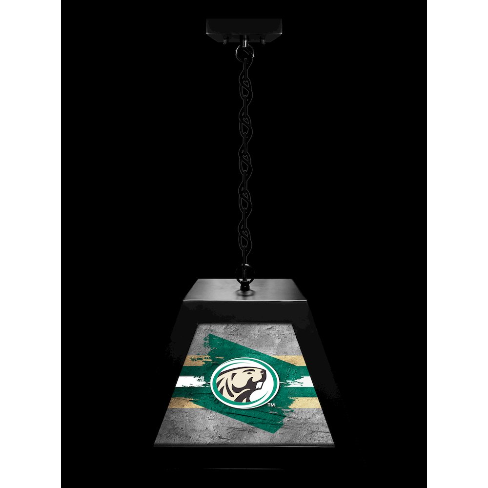 Bemidji State University Pendant Box Light. Picture 3