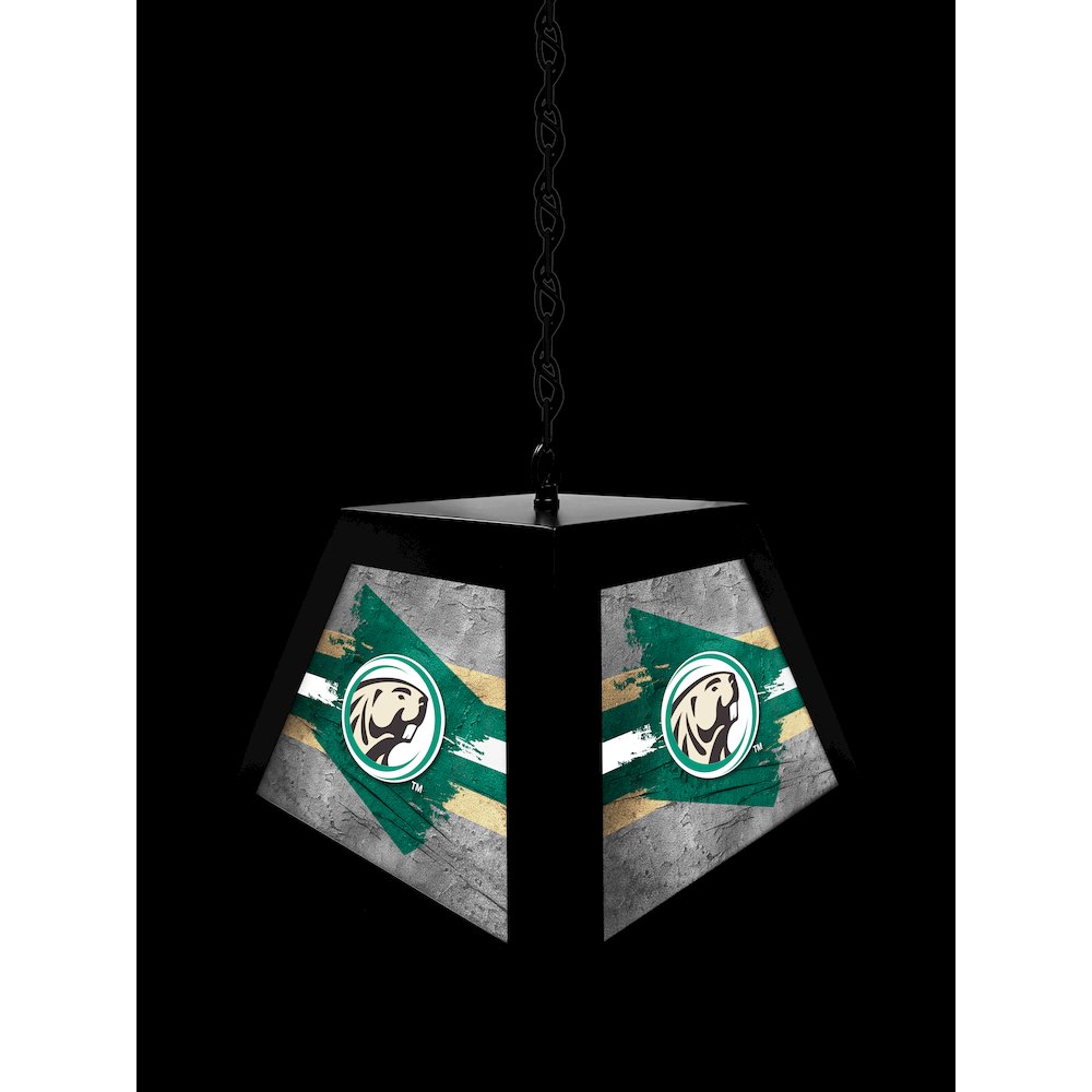 Bemidji State University Pendant Box Light. Picture 4