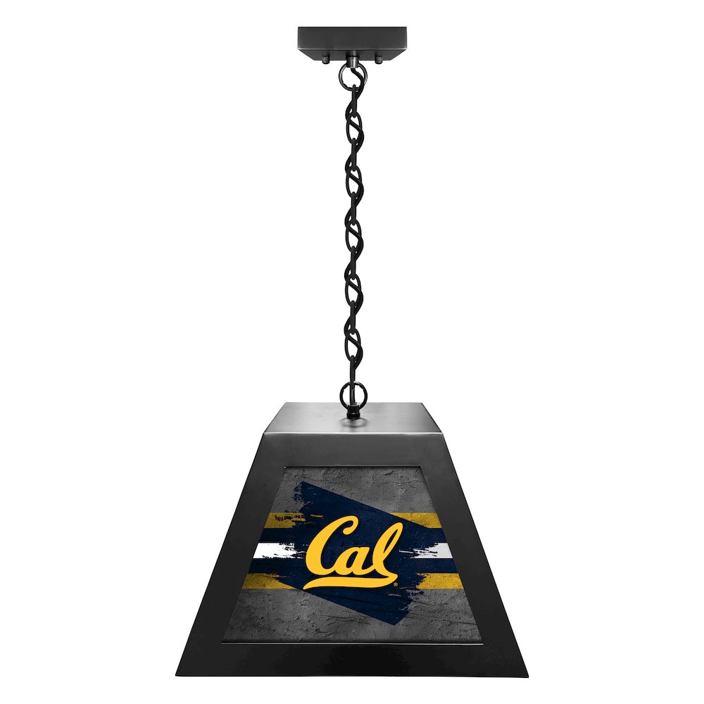University of California Pendant Box Light. Picture 1